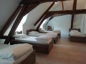 Auberges de jeunesse L'auberge de Treigny : photos des chambres