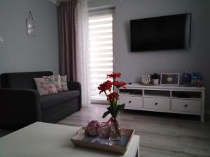 Apartament Antek klimatyzowany