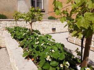 Auberges de jeunesse L'auberge de Treigny : photos des chambres