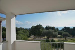 Corallo img2