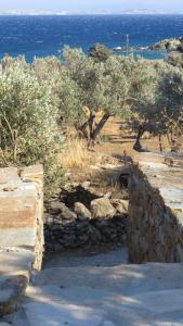 Sea Breeze Cottage Tinos Greece