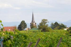 Maisons de vacances Les cerisiers : photos des chambres