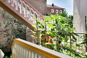 Apartments by the sea Nin, Zadar - 6125