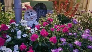 Sysanns Guest House - Пицунда