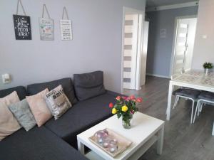 Apartment Oświęcim klimatyzowany