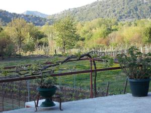 Guesthouse Feel Lake