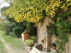 Maisons d'hotes La Parenthese : photos des chambres