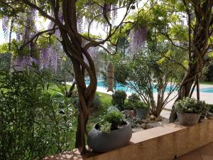 Maisons d'hotes La Parenthese : Chambre Double - Vue sur Jardin