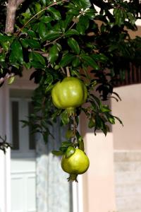 Agioneri Kavala Greece