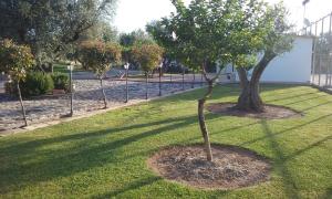 STUDIO WITH TENIS COURT AND MINI BASKET Achaia Greece