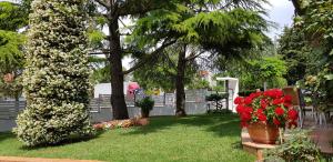 Fiori Apartment