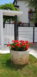 Fiori Apartment