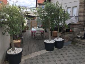 Appartements LA TERRASSE SELESTADIENNE : photos des chambres