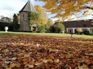 B&B / Chambres d'hotes La Cour d'Hortense : photos des chambres
