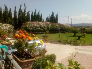 Il Giardino delle Rose A img57