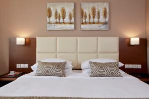 Aar Hotel & Spa Ioannina Epirus Greece