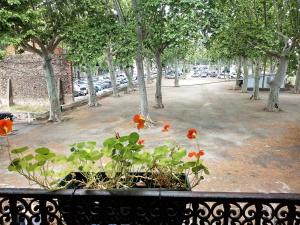 Atout Pézenas photo 21