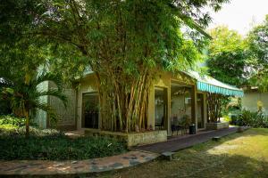 Breathing Earth - Rooms and Pool