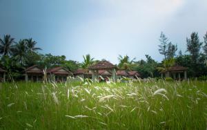 Breathing Earth - Rooms and Pool