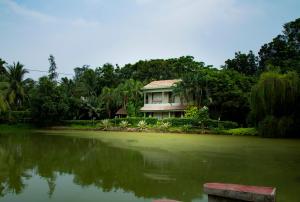 Breathing Earth - Rooms and Pool