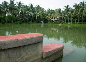 Breathing Earth - Rooms and Pool