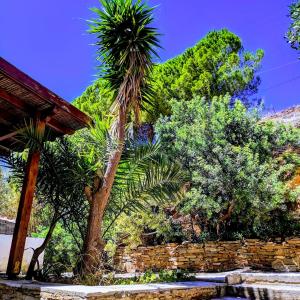 STUDIO GREGORY Andros Greece