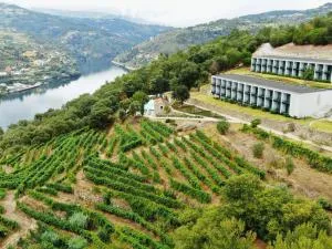 Douro Palace Hotel Resort & SPA - Abelhal
