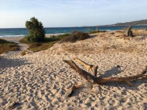 Camping Dolce Vita photo 24