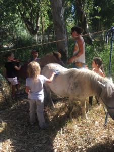 Complexes hoteliers Camping La Pinede : photos des chambres