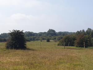 Open Acres Accommodation