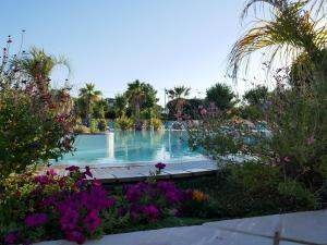 Camping Officiel Siblu Les Sables du Midi photo 6