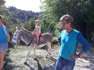 Maisons de vacances Gites Les Costoliers : photos des chambres