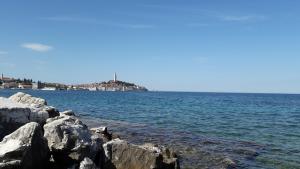 Apartman Laste-Rondule 