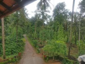 Leela Farm Stay - Exclusive for Group Stay