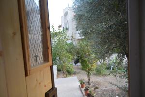 Our Villas Pine Cottage - HQ Budget Stay - Wonderful horizon view of Jerash