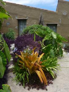 El Susurro Ecoliving VILLA GUINCHO