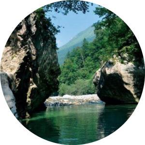 Apartma NADIŽA Borjana107