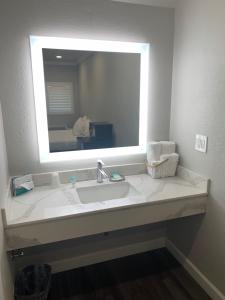 Budget Double Room room in Elmwood Motel