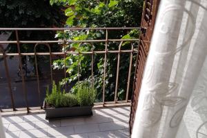 IL NIDO DELLA ZIA