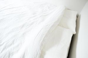 NEST HATAGAYA Stylish Apt