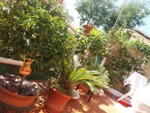 Canoa Quebrada - Carozzo