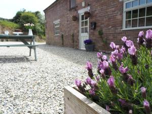 Harepath Farm Cottages 1