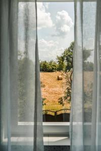 Dwór Białe Wino