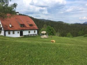 Chalet Hinterbreiteneben