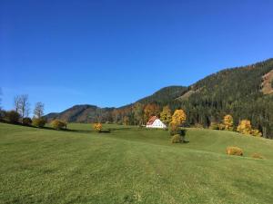 Chalet Hinterbreiteneben