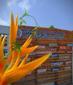 The Beach Hostel Milagres - 普拉亚弗朗西丝