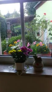 Gästewohnung zum Wohlfühlen - Kiebitz