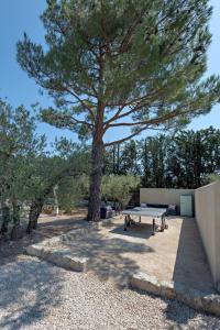 Maisons d'hotes La Meridienne : photos des chambres