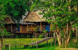 Amazon Muyuna Lodge -Inclusive