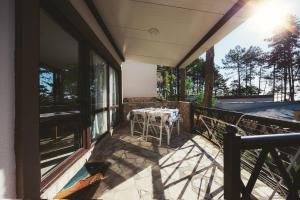Dream View